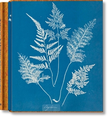 Anna Atkins. Cyanotypes - Peter Walther