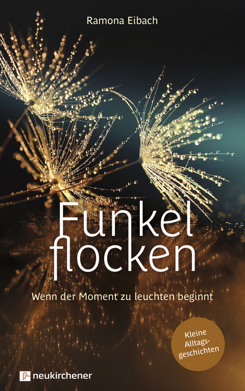 Funkelflocken - Ramona Eibach