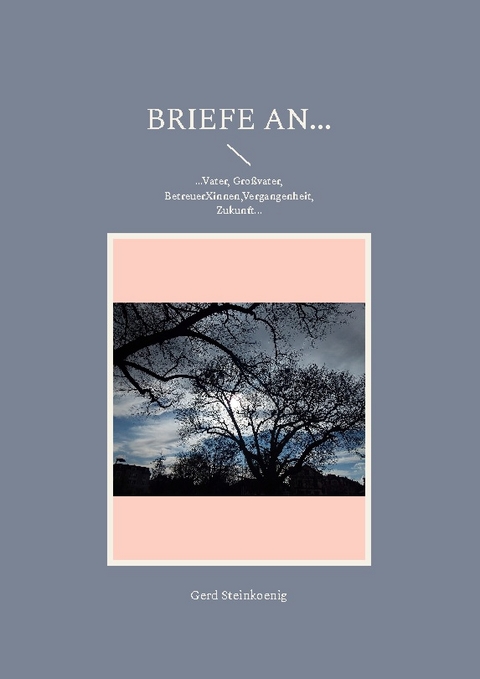 Briefe an... - Gerd Steinkoenig