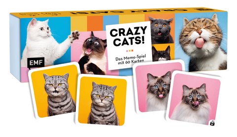 Memo-Spiel: Crazy cats!