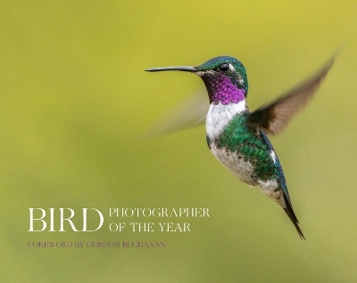 Bird Photographer of the Year -  Bird Photographer of the Year