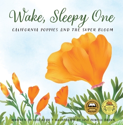 Wake, Sleepy One - Lisa Kerr