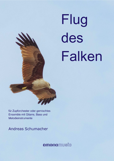 Flug des Falken - 