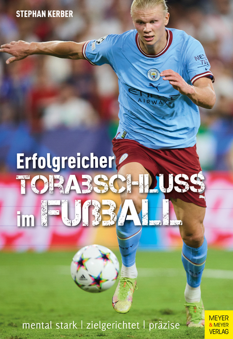 Erfolgreicher Torabschluss im Fußball - Stephan Kerber