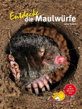 Entdecke die Maulwürfe - Verjans Esther