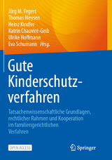 Gute Kinderschutzverfahren - 