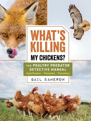 What's Killing My Chickens? - Gail Damerow