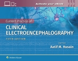 Current Practice of Clinical Electroencephalography - Husain, Dr. Aatif M.