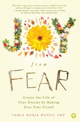 Joy from Fear - Carla Marie Manly