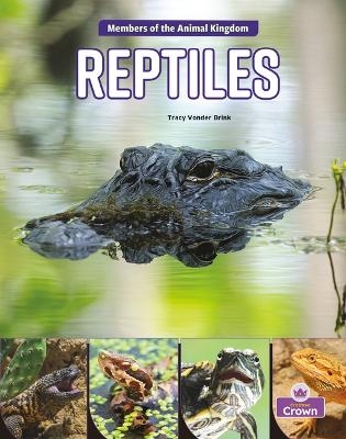 Reptiles - Tracy Vonder Brink