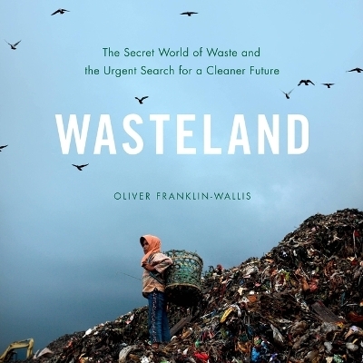 Wasteland - Oliver Franklin-Wallis