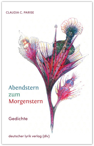 Abendstern zum Morgenstern - Claudia C. Parise