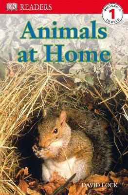 DK Readers L1: Animals at Home - David Lock