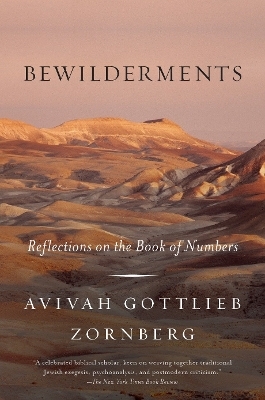 Bewilderments - Avivah Gottlieb Zornberg