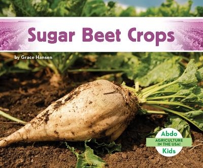 Sugar Beet Crops - Grace Hansen