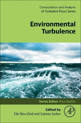 Environmental Turbulence - 