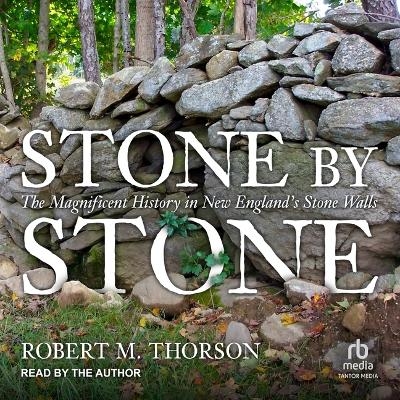 Stone by Stone - Robert M Thorson