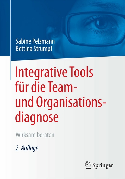 Integrative Tools für die Team- und Organisationsdiagnose - Sabine Pelzmann, Bettina Strümpf