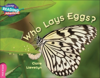 Cambridge Reading Adventures Who Lays Eggs? Pink B Band - Clare Llewellyn