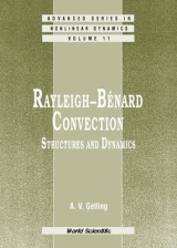 RAYLEIGH-BENARD CONVENTION:...     (V11) - Alexander V Getling