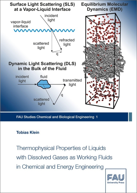 Thermophysical Properties of Liquids with Dissolved Gases as Working Fluids in Chemical and Energy Engineering - Tobias Klein