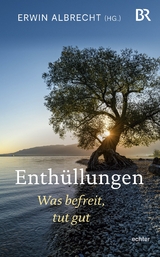 Enthüllungen - 