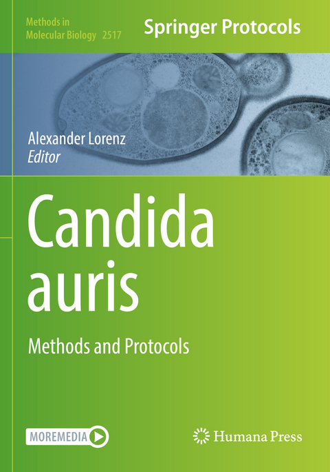 Candida auris - 