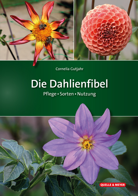 Die Dahlienfibel - Cornelia Gutjahr