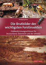 Die Brutbilder der wichtigsten Forstinsekten - Rohe, Wolfgang