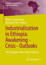 Industrialization in Ethiopia: Awakening - Crisis - Outlooks - 