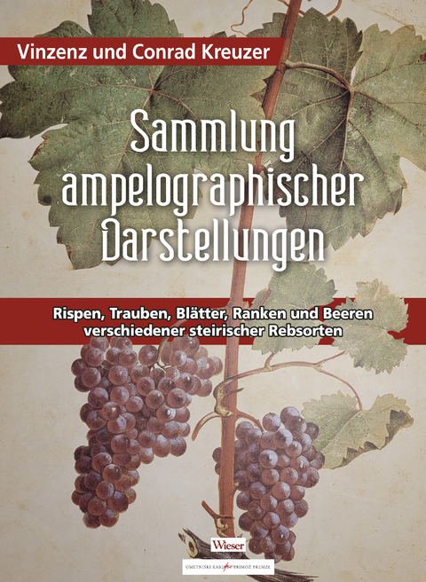 Sammlung ampelographischer Darstellungen - 