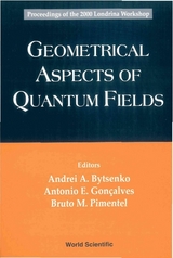 GEOMETRICAL ASPECTS OF QUANTUM FIELDS - 