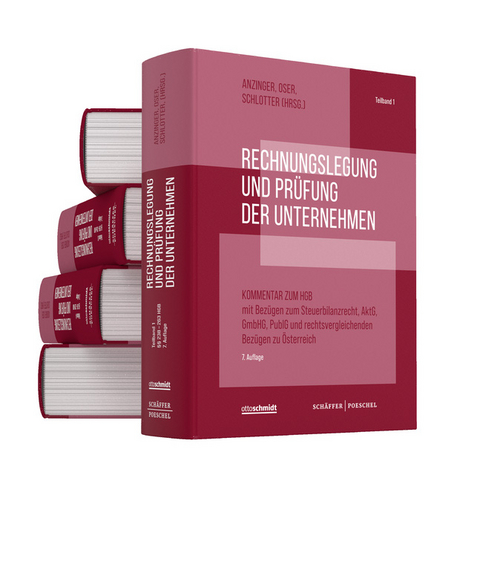 Rechnungslegung und Prüfung der Unternehmen (Gesamtausgabe) - 