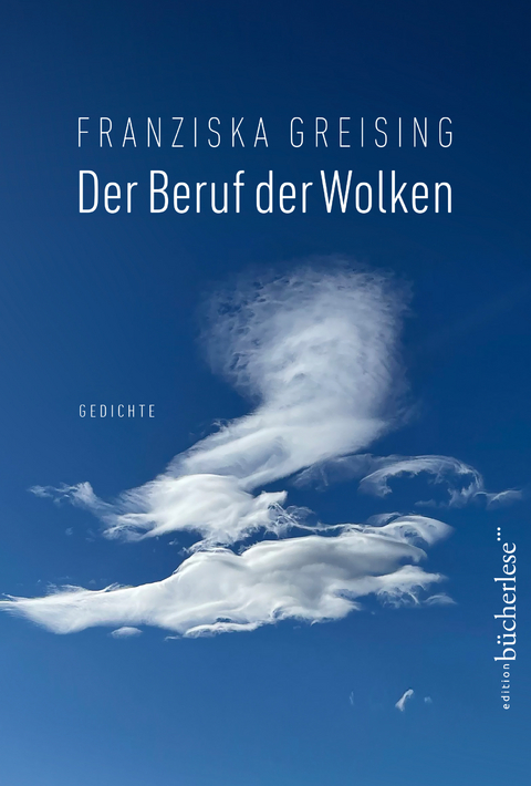 Der Beruf der Wolken - Franziska Greising