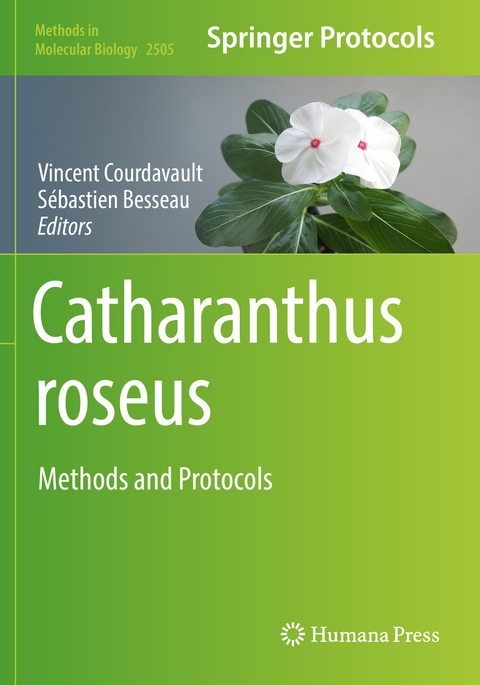 Catharanthus roseus - 