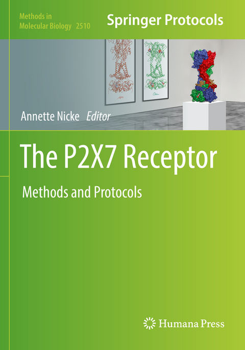 The P2X7 Receptor - 