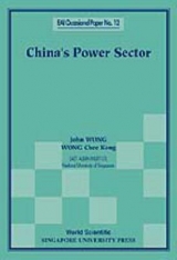 CHINA'S POWER SECTOR             (NO.12) - John Wong