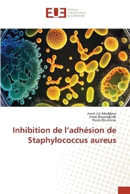 Inhibition de l'adhésion de Staphylococcus aureus - Amel Ait Meddour, Amel Boumdjirek, Nada Boukaraa