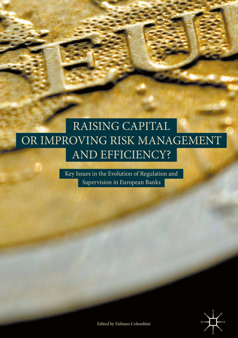 Raising Capital or Improving Risk Management and Efficiency? - 