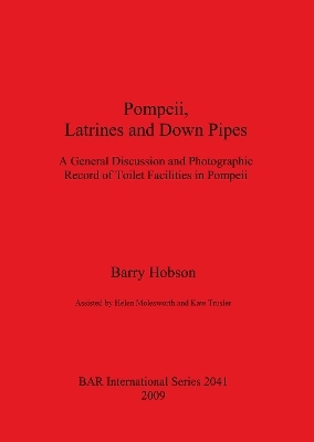 Pompeii Latrines and Down Pipes - Barry Hobson