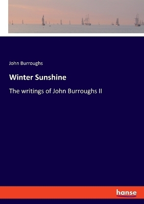 Winter Sunshine - John Burroughs