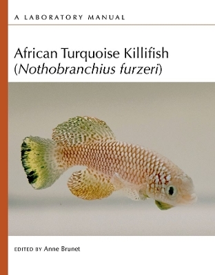 African Turquoise Killifish (Nothobranchius Furzeri): A Laboratory Manual - 