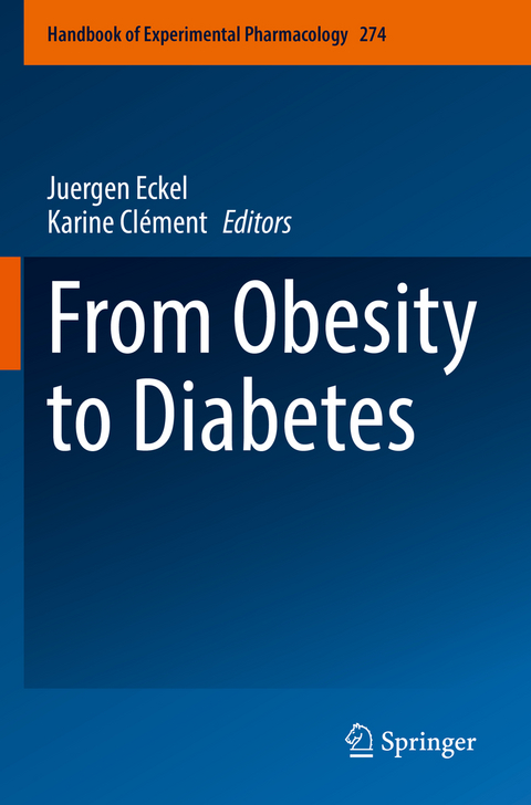 From Obesity to Diabetes - 