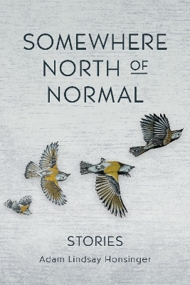 Somewhere North of Normal - Adam Lindsay Honsinger