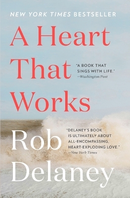 A Heart That Works - Rob Delaney