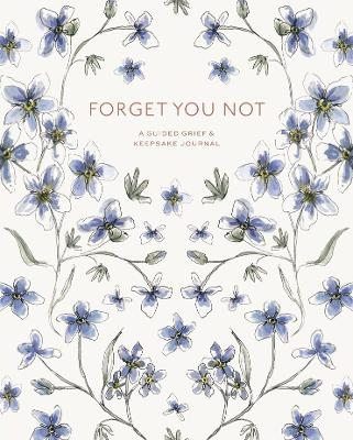 Forget You Not - Brittany DeSantis