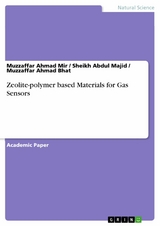 Zeolite-polymer based Materials for Gas Sensors - Muzzaffar Ahmad Mir, Sheikh Abdul Majid, Muzzaffar Ahmad Bhat