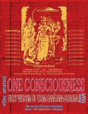 One Consciousness - Vijay Sanatani