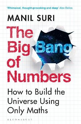 The Big Bang of Numbers - Manil Suri