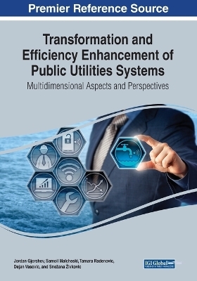 Transformation and Efficiency Enhancement of Public Utilities Systems - 